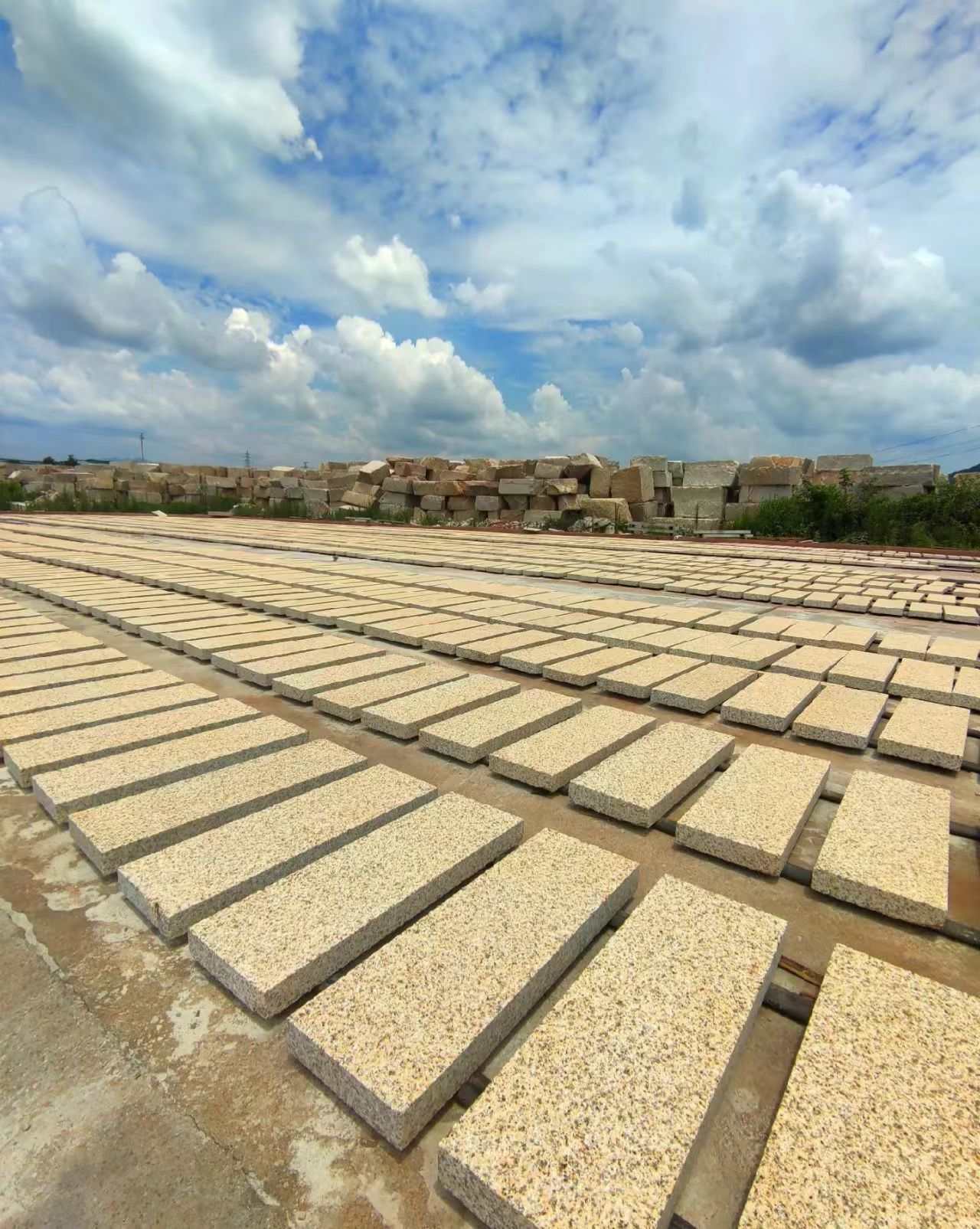 宝鸡 黄金麻花岗岩荔枝面地铺石防护中